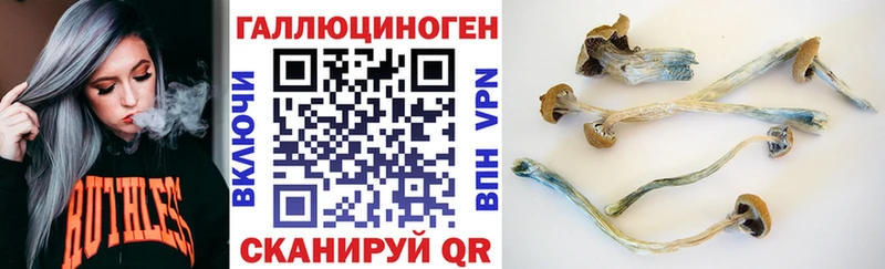Галлюциногенные грибы Psilocybe  Тара 