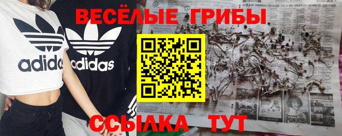 Псилоцибиновые грибы MAGIC MUSHROOMS Тара
