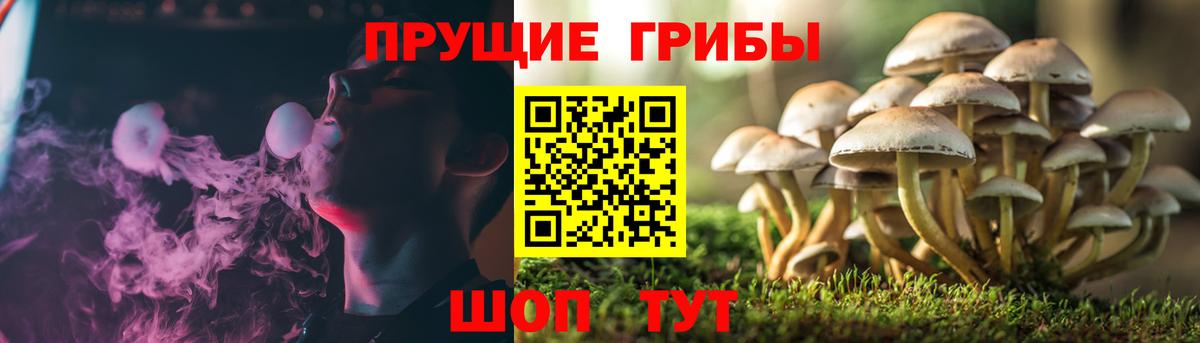 Тара  Галлюциногенные грибы ЛСД  Вход с VPN 
