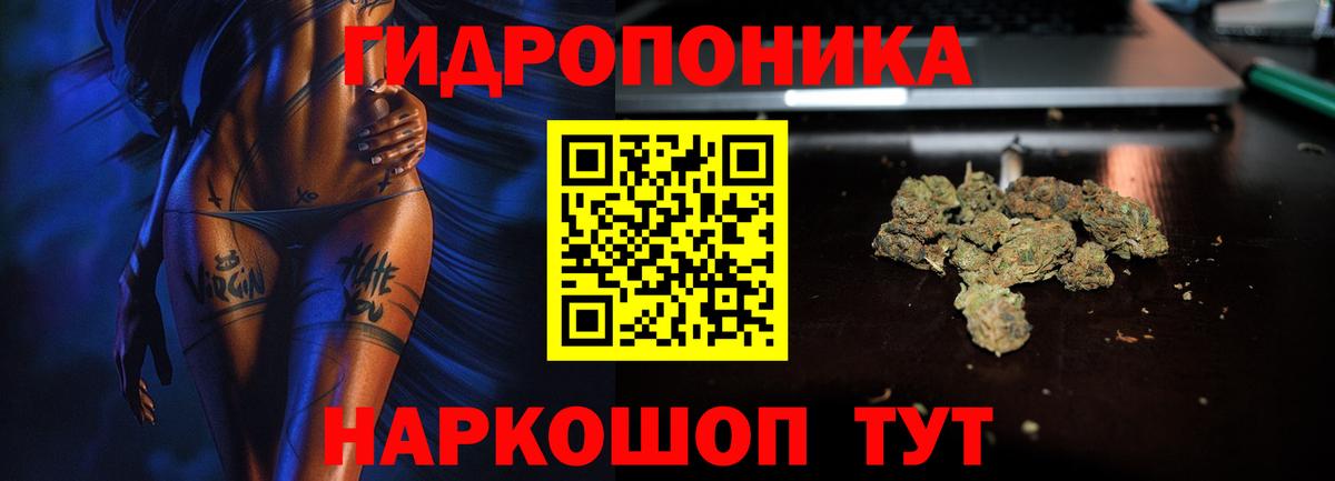 Бошки Шишки семена  Конопля план  Вход с VPN  Тара  Марихуана тримм  Марихуана план 